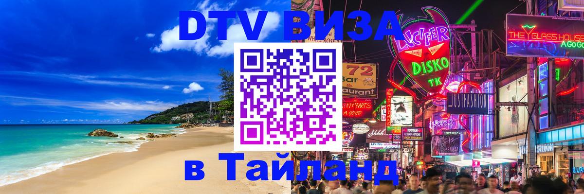 Оформление DTV визы под ключ: стоимость и тарифы, только загранпаспорт - Новомосковск  03.10.2025 